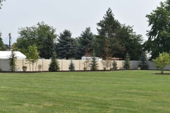 project007_tan-privacy-vinyl-fence-murray_14